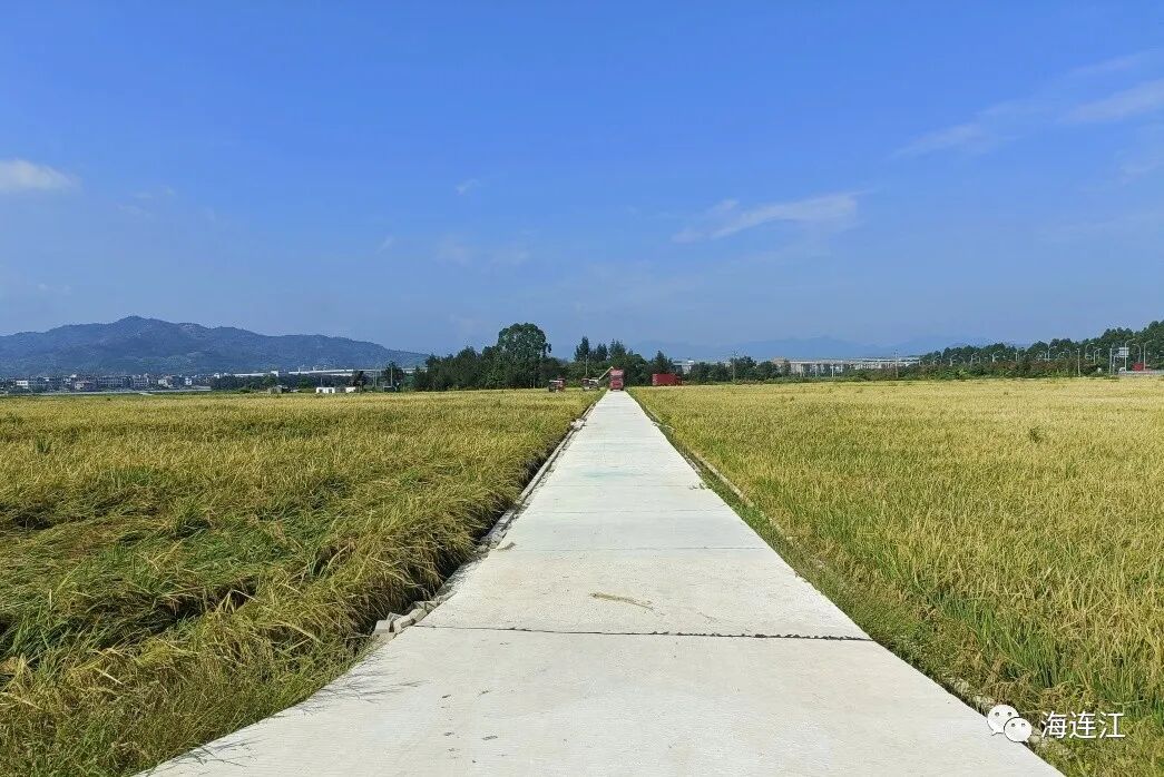 做好“加减”法，连江全力推动土地综合整治！