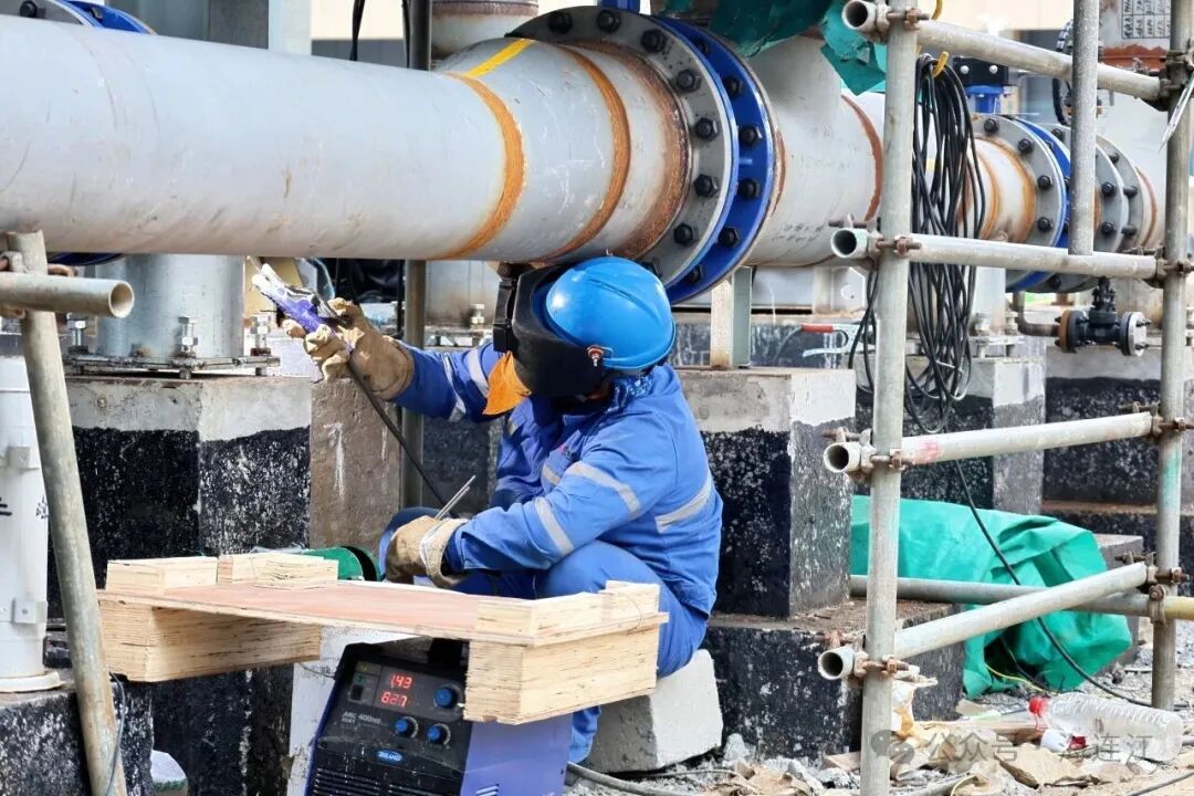 全球首个！连江这个项目预计明年投产