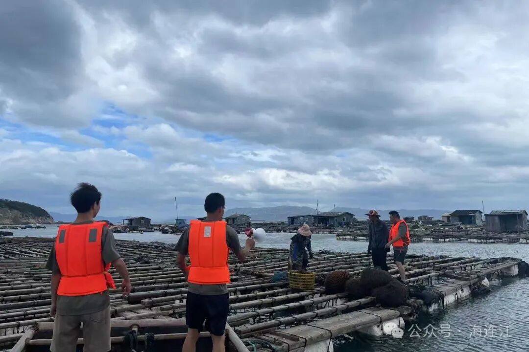 台风“格美”来势汹汹！连江严阵以待！