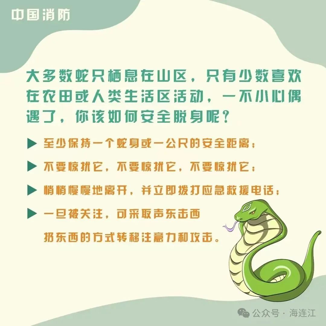 小心！小心！连江有蛇出没！