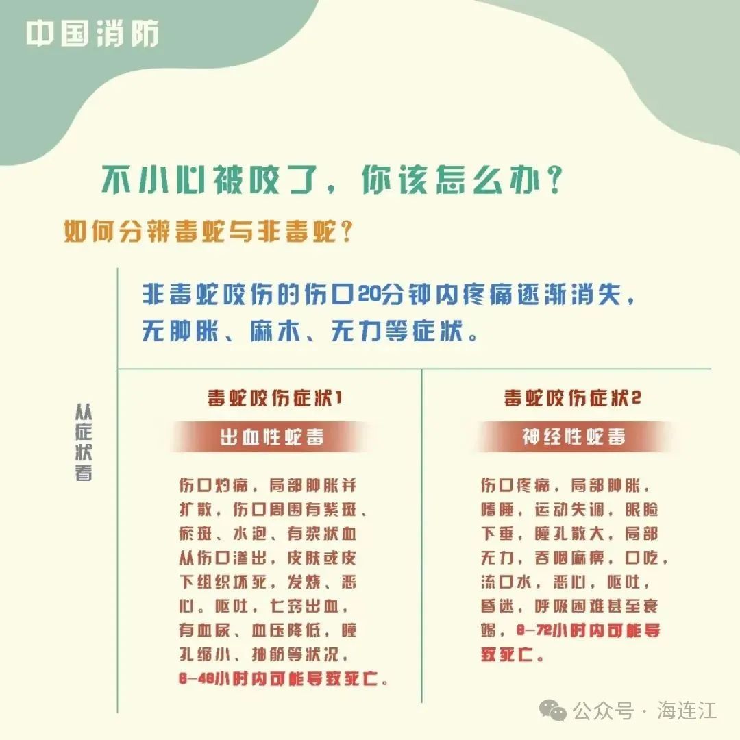 小心！小心！连江有蛇出没！