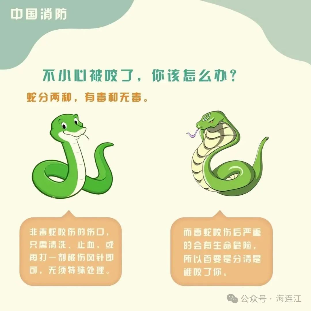 小心！小心！连江有蛇出没！