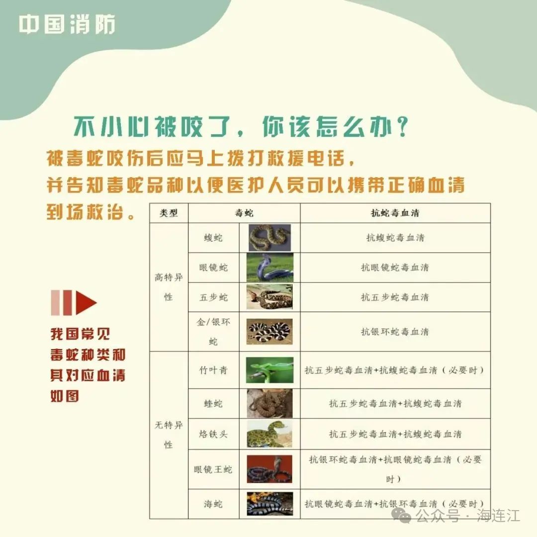 小心！小心！连江有蛇出没！