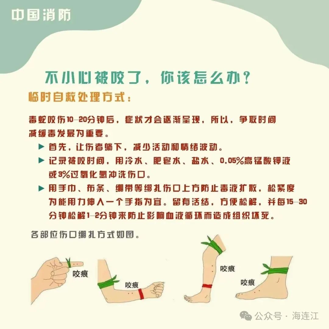 小心！小心！连江有蛇出没！