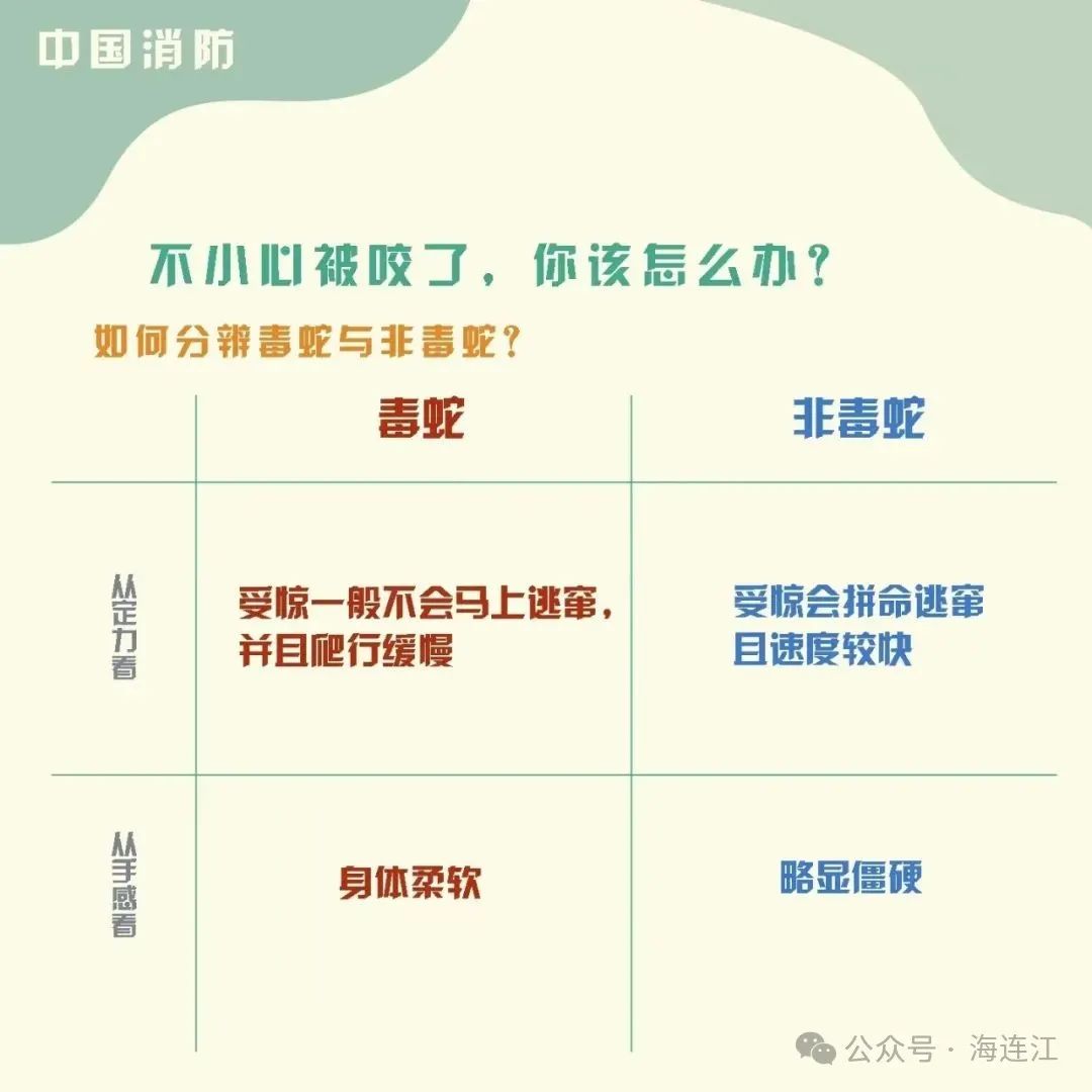 小心！小心！连江有蛇出没！