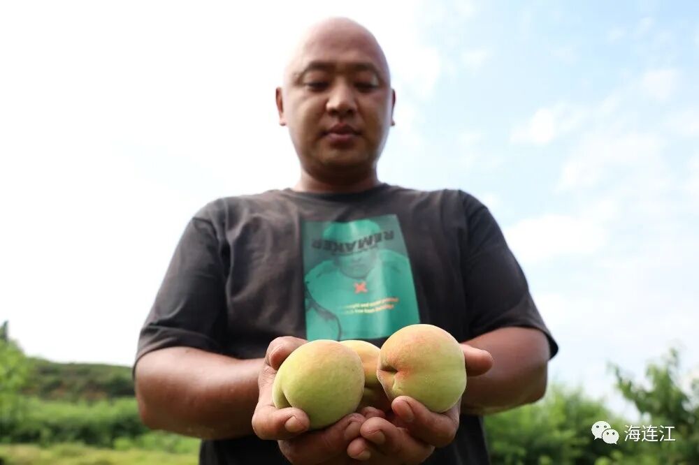 美味难“桃”！连江人，准备就绪！