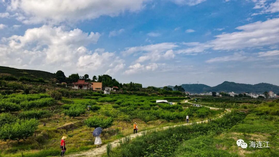 美味难“桃”！连江人，准备就绪！