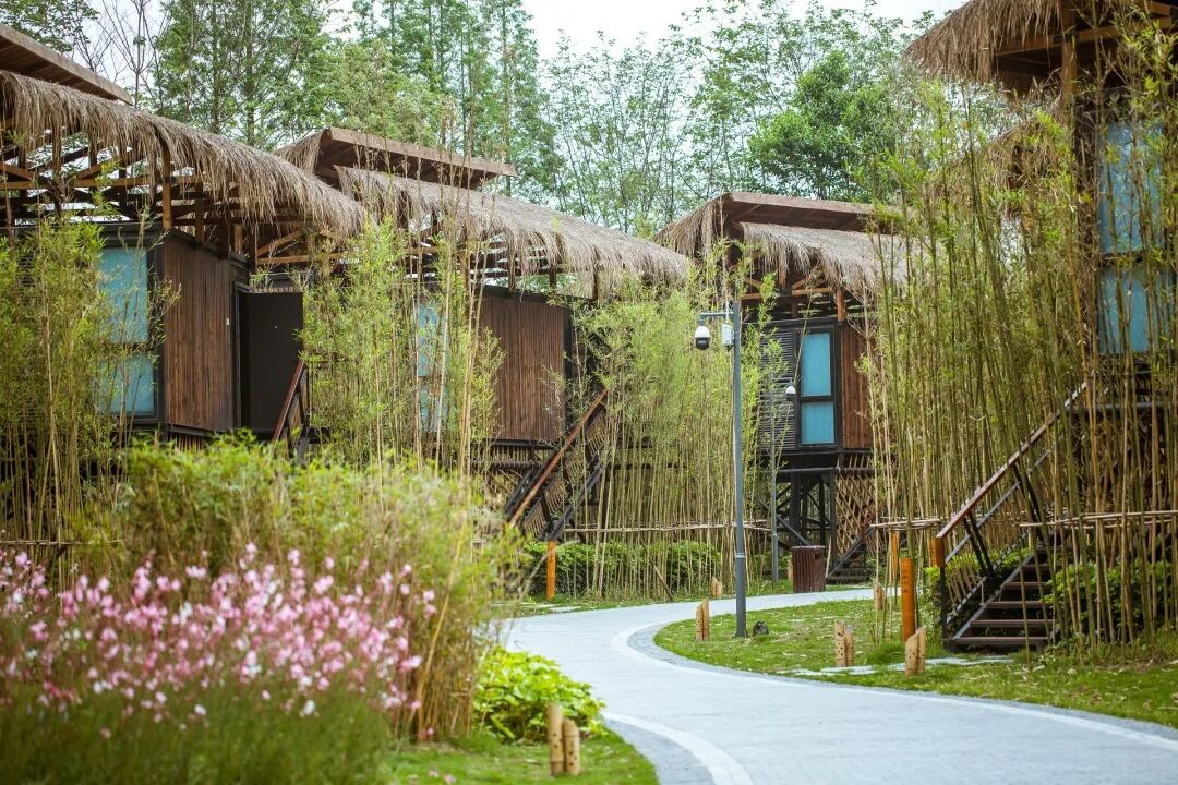 五一假期小众目的爆火,文旅行业随着"反向旅游"迎来新机遇