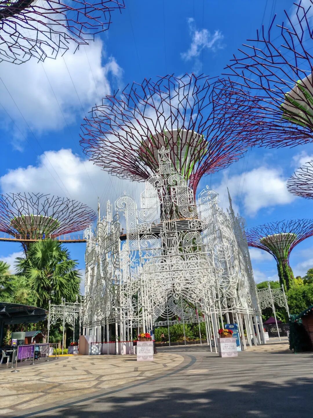 新加坡simplygo怎么使用新加坡教育生活资讯（2025.12.24）_https://www.jmylbn.com_新闻资讯_第1张