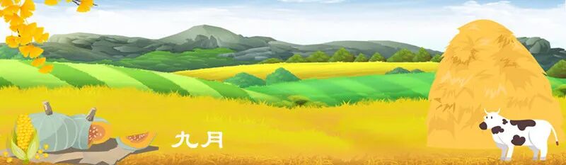 新加坡simplygo怎么使用新加坡教育生活资讯（2025.12.24）_https://www.jmylbn.com_新闻资讯_第19张