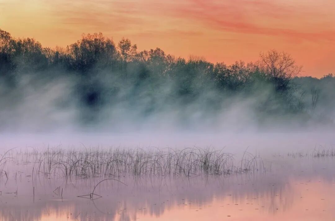 王昌龄是哪个朝代的_朝代王昌龄是哪里人_王昌龄是什么代的人