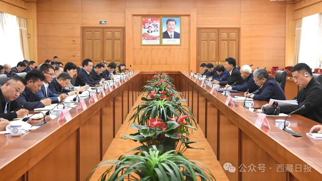 王君正与全国人大常委会副委员长洛桑江村一行座谈