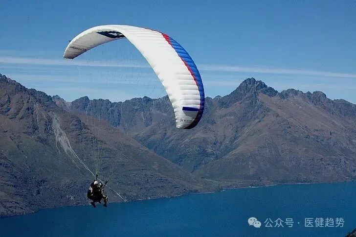 宠物医疗设备怎么用中国宠物医疗行业市场分析_https://www.jmylbn.com_新闻资讯_第2张