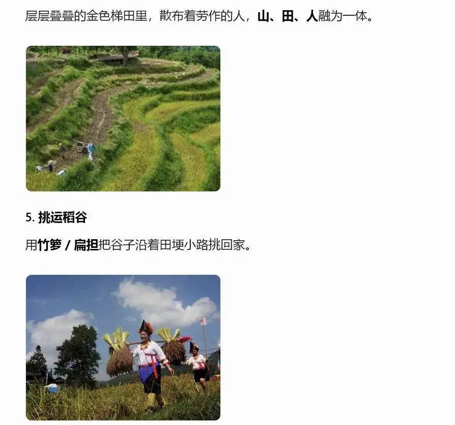 元宝检索-梯田参考图