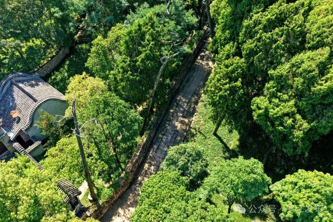 DJI_20260831112734_0307_D_副本.jpg