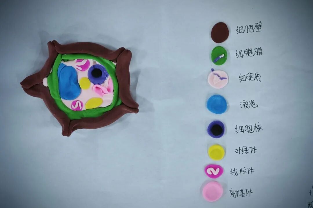 图片关键词