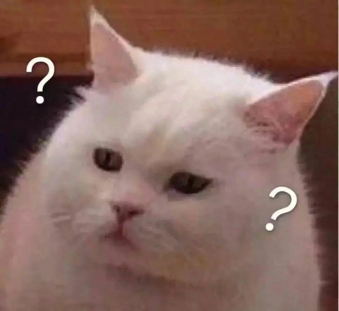 有什么特別可愛貓貓的動態(tài)圖或表情包嗎？ - 知乎