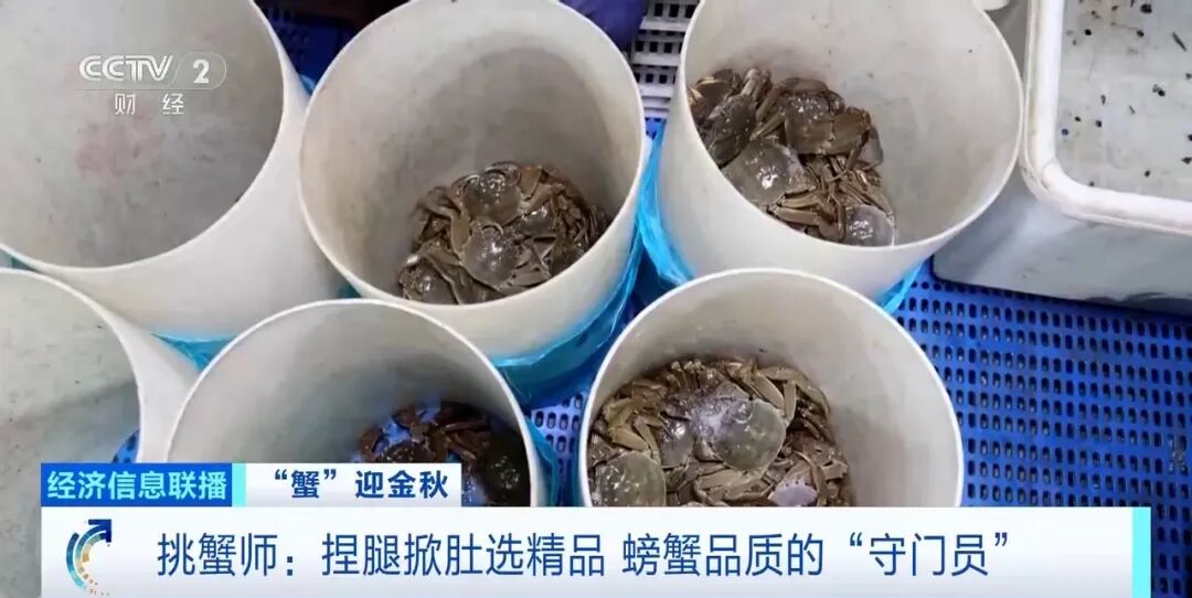 平均月入约2万!这个岗位近期缺人