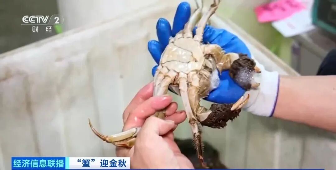 平均月入约2万!这个岗位近期缺人