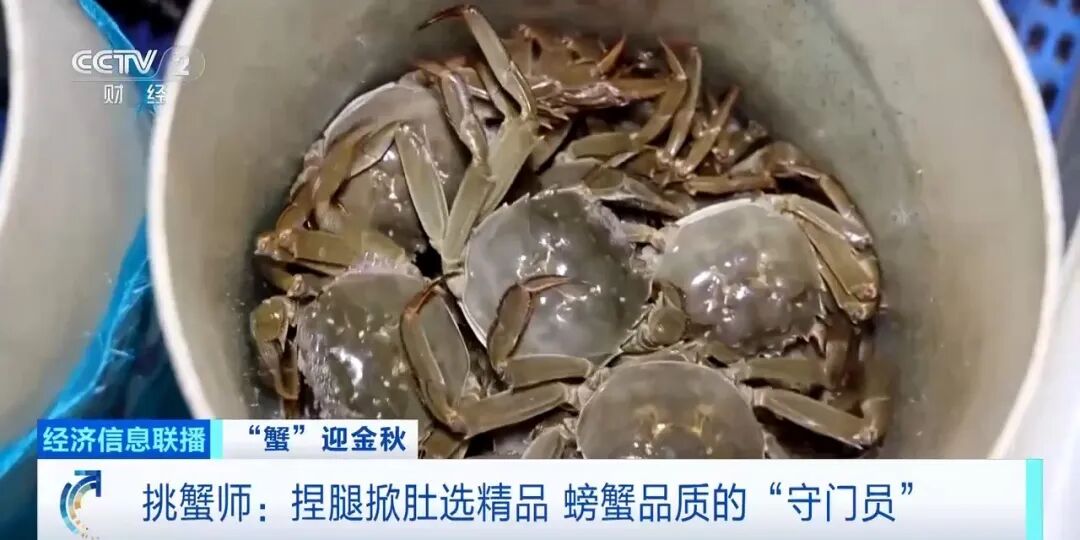 平均月入约2万!这个岗位近期缺人