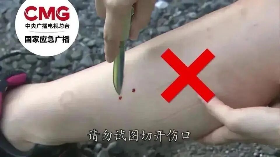 70斤蟒蛇生吞30斤羊