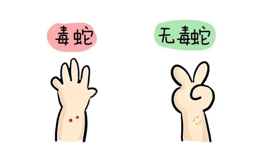 70斤蟒蛇生吞30斤羊