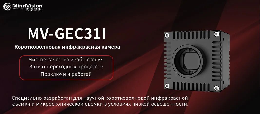 MV-GEC31I