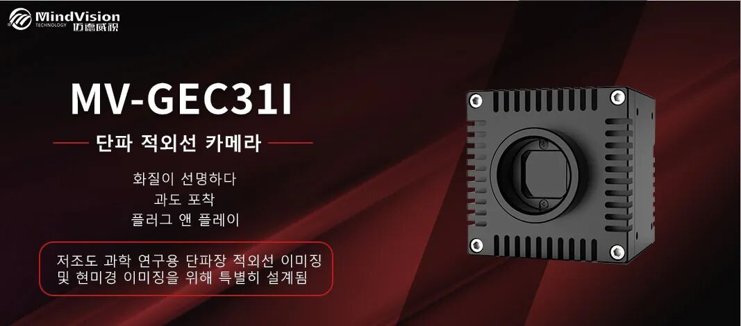 MV-GEC31I