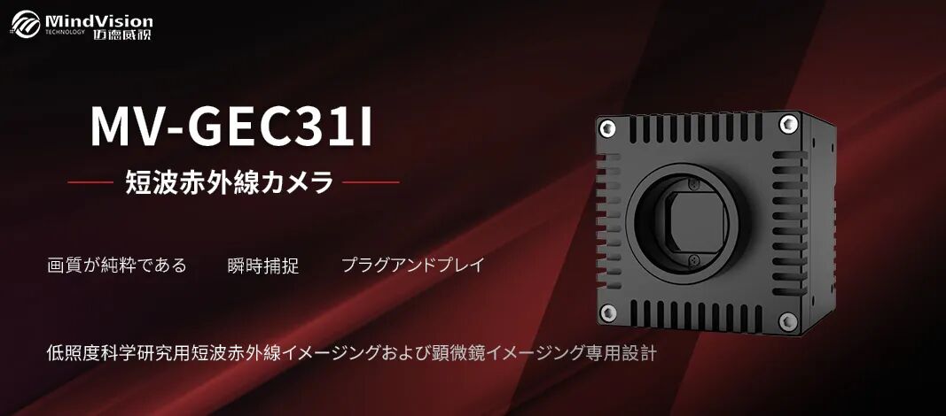 MV-GEC31I