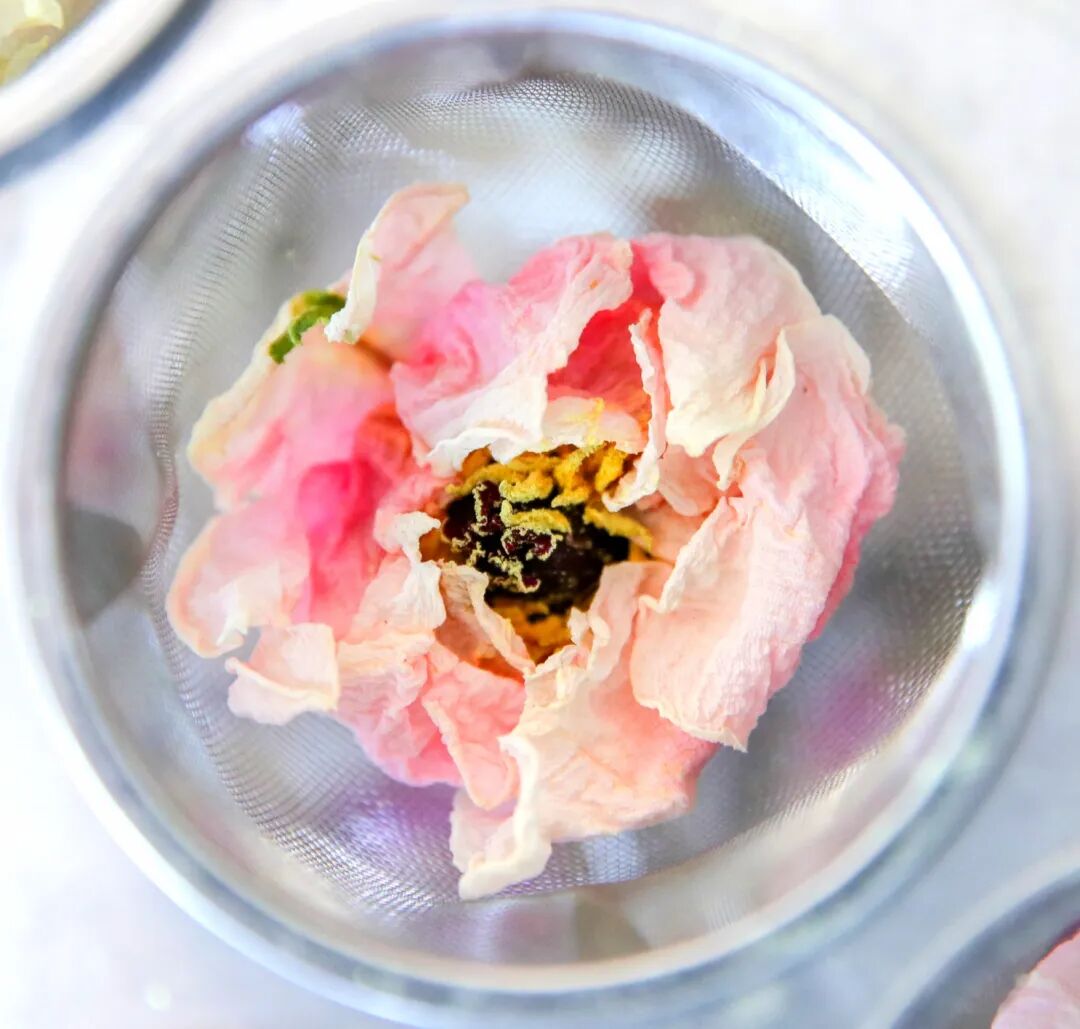 牡丹花茶(6408825)-20260331202605.jpg