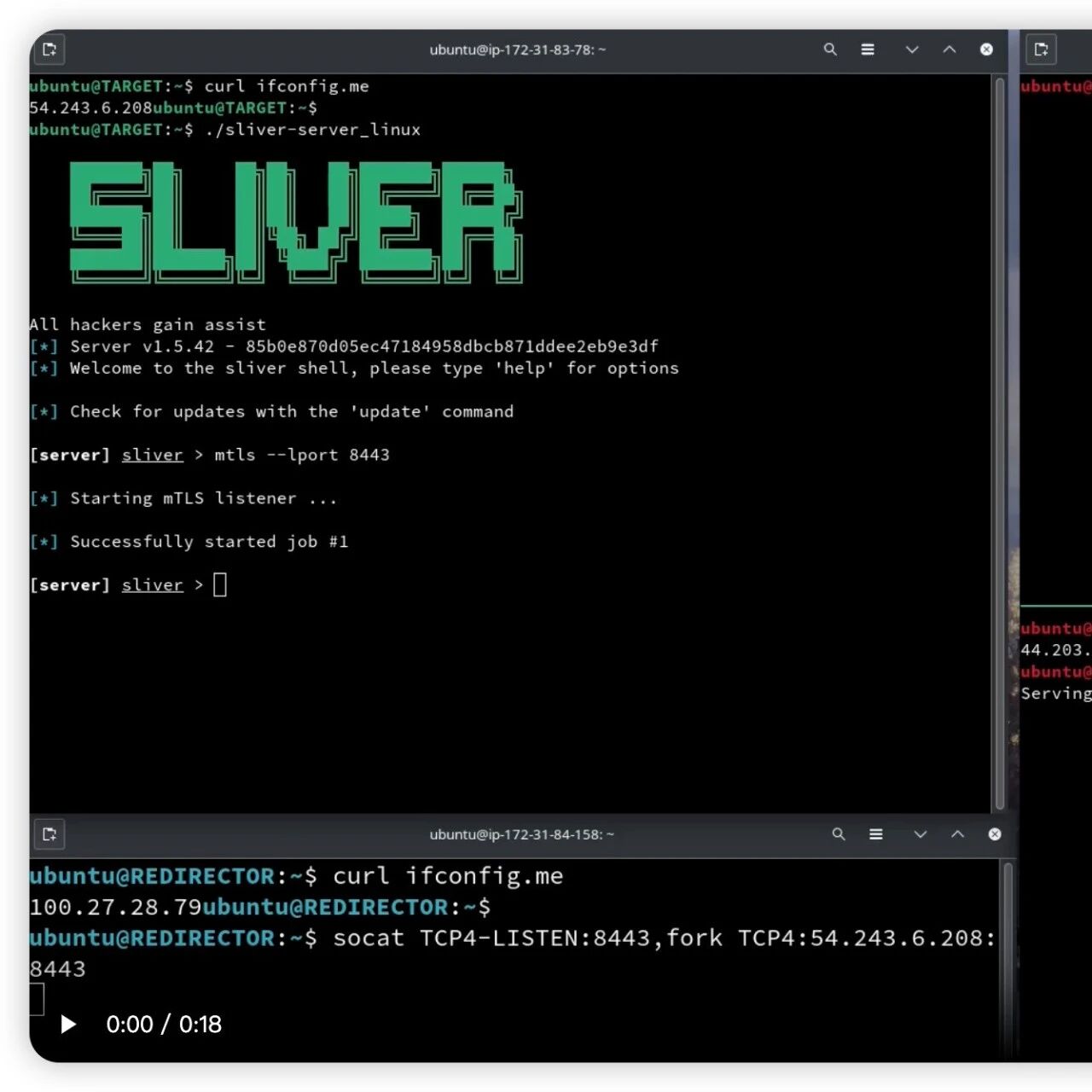 Example Image