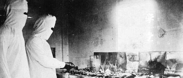 鼠疫曾造成欧洲2500万人遇难，晚清如何在60多天内消灭鼠疫