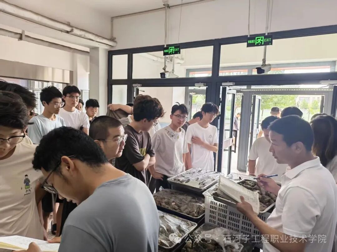 一站式学生社区|粽香沁心 瓜甜润夏