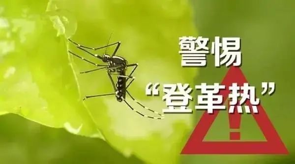防治登革热,这些需了解这些知识-海南信息港