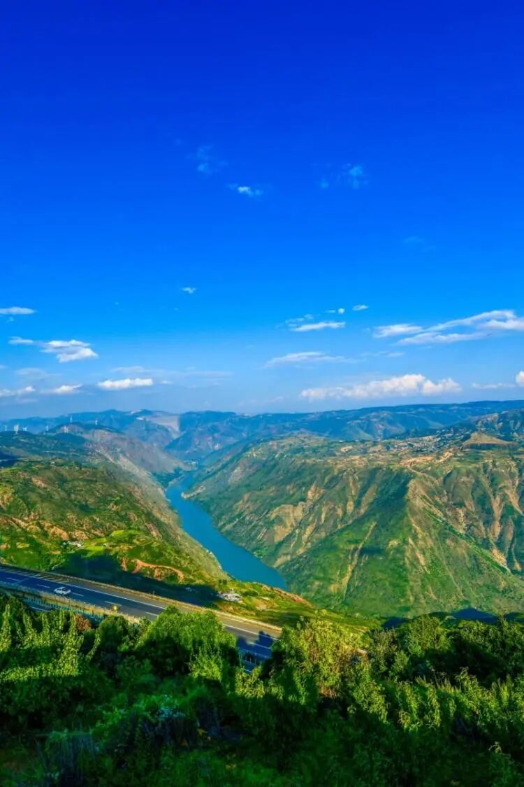 探秘攀枝花仁和臻芒：品种多样、品质上乘背后的故事与品牌内涵插图6