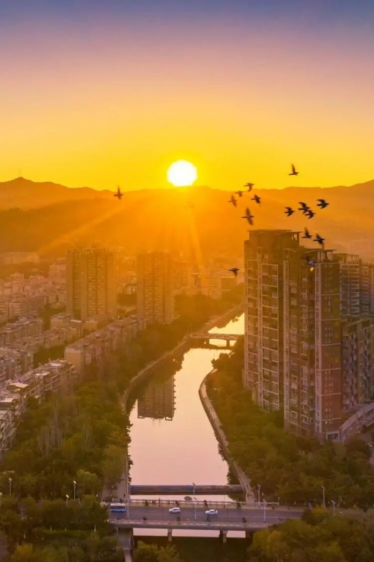 探秘攀枝花仁和臻芒：品种多样、品质上乘背后的故事与品牌内涵插图8