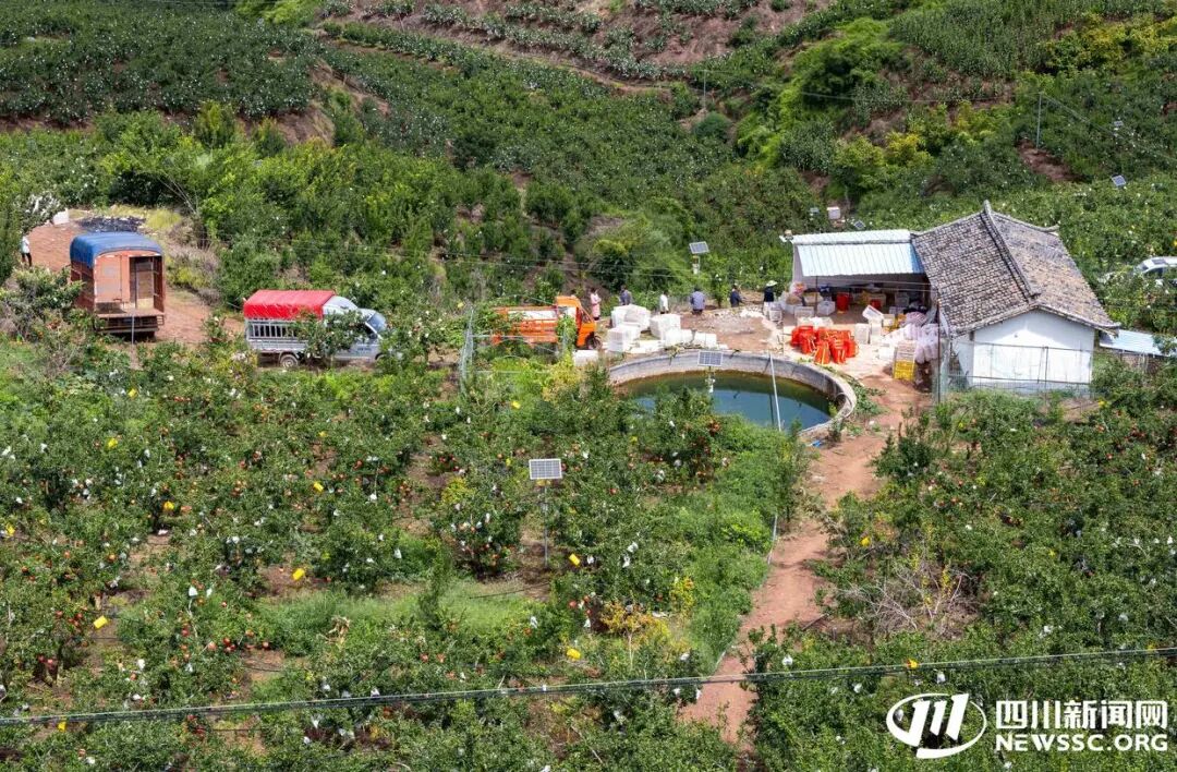 2025 会理石榴丰收节 9.23 启幕：“会理榴香・甜透八方”，多活动打造 “农业 + 文旅” 盛宴插图2