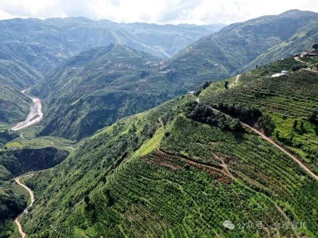 凉山初秋甜蜜来袭：越西苹果脆甜酥爽，会理石榴粒大爆汁，千万别错过！插图24