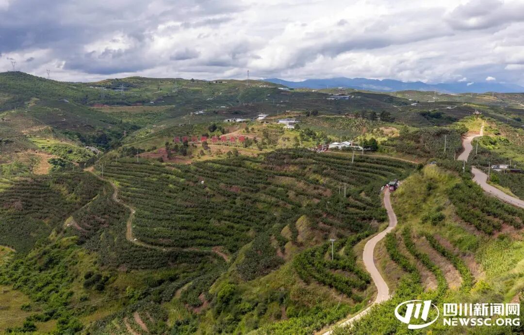 2025 会理石榴丰收节 9.23 启幕：“会理榴香・甜透八方”，多活动打造 “农业 + 文旅” 盛宴插图
