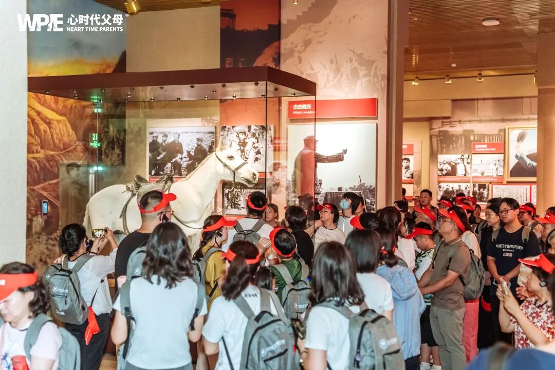 【纪琼院长家庭系统教育方案实操班】“他们砸烂了卧室门，也砸碎了我的上学梦” ——一个休学高中生的独白