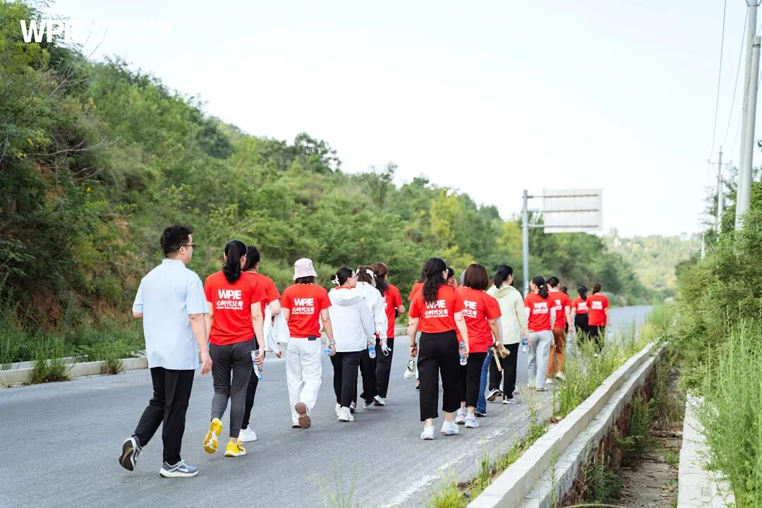 【青少年心理学专业课】从信任到重生：一位青少年心理学习者的“第三次生命”
