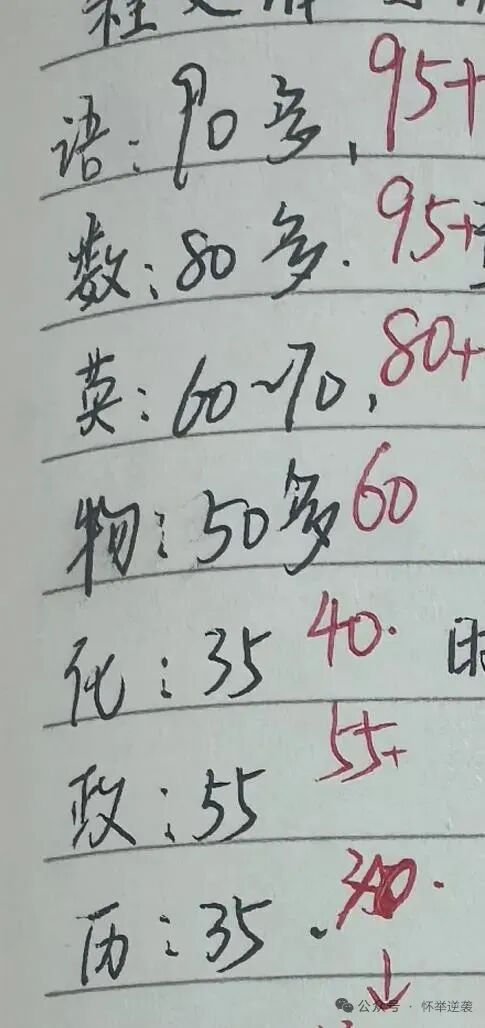 来自狮子王的喜讯（二）从躲在角落哭到捧回A+成绩单，这个女孩用半年证明：改变从不需要惊天动地