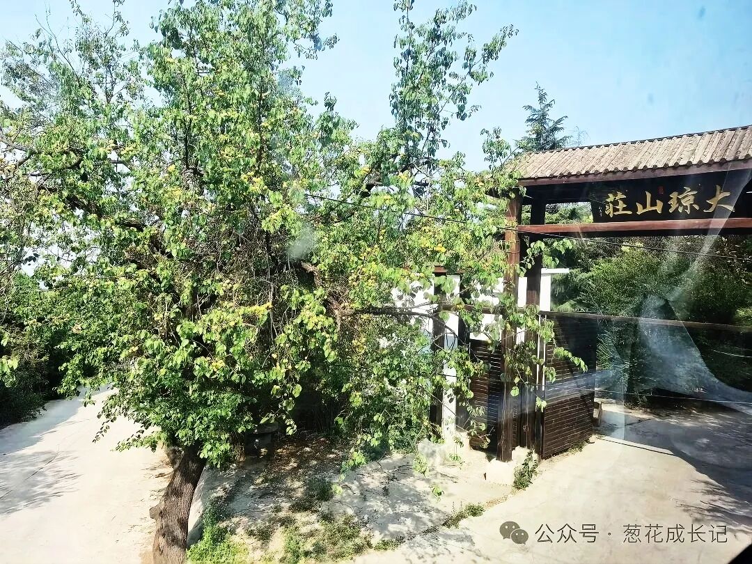 心灵的深犁：当全人心学遇上最质朴的生活教材