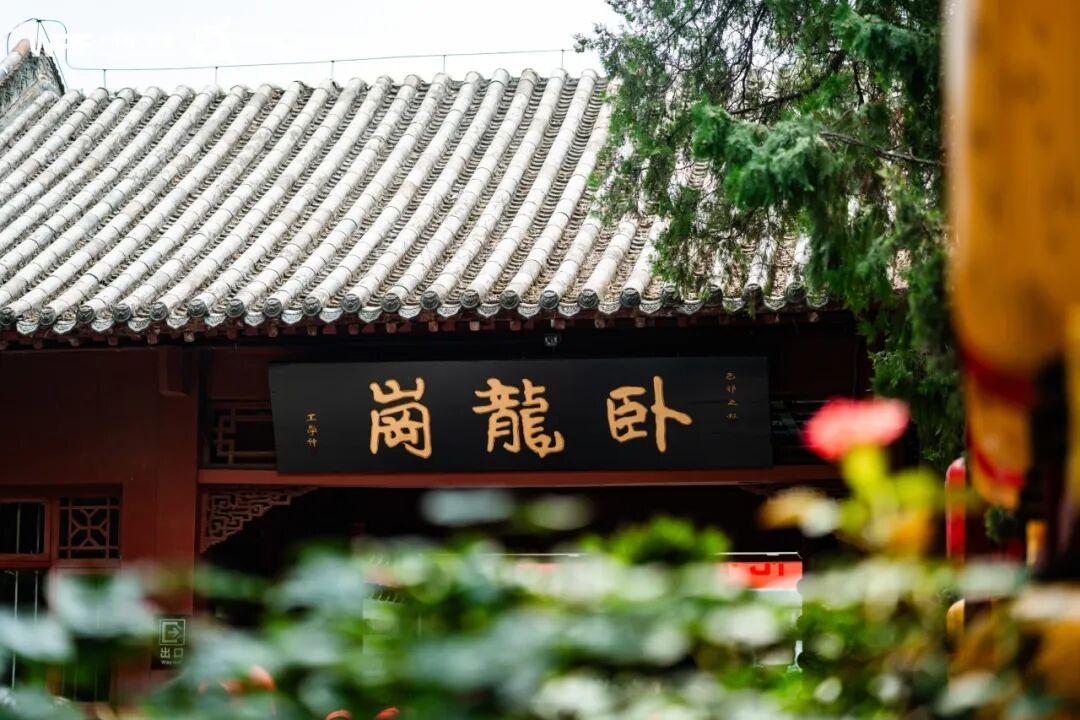 医圣故里育英才，心时代里见担当——休学少年在《青少年总裁班》的治愈系成长故事