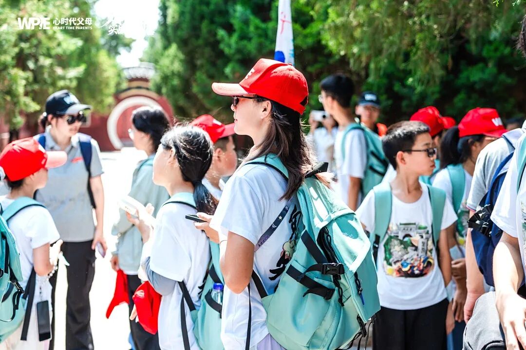 【纪琼院长家庭系统教育实操班】家长：“狗咬你，你也咬狗呀？”孩子：“我打死它！”——看王纪琼院长如何巧妙化解