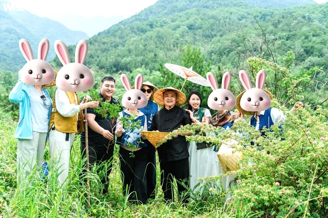 王熙凤和王纪琼的隔世共鸣——“一吊钱”让休学两年的孩子重返校园