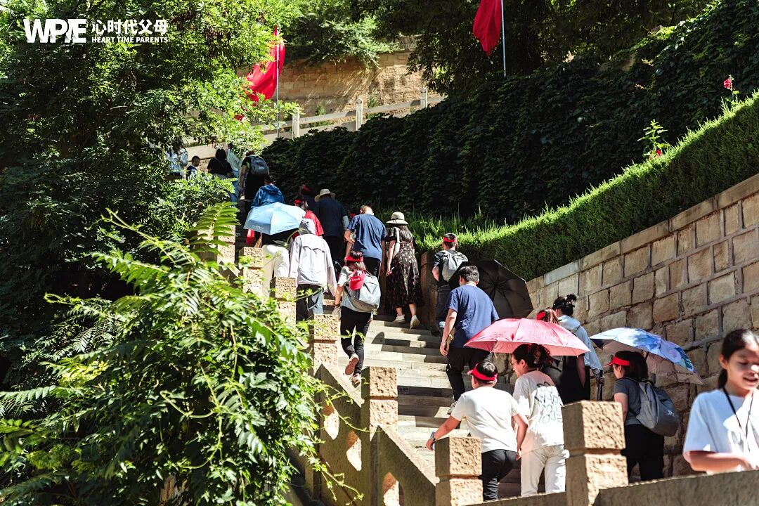 当道路拥堵时，内心如何不堵？——一次堵车引发的察觉与反思