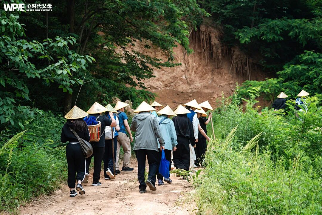 问道终南，与纪琼院长共同体验沉浸式修行！