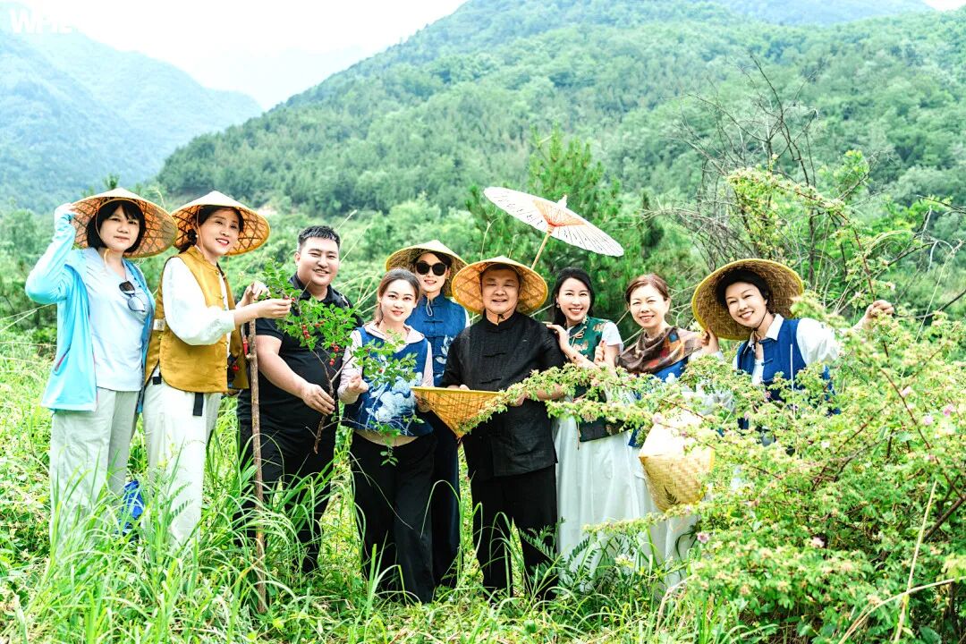 问道终南，与纪琼院长共同体验沉浸式修行！