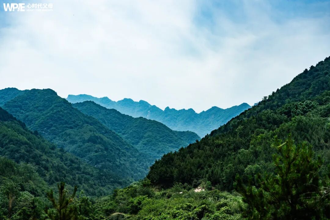 问道终南，与纪琼院长共同体验沉浸式修行！